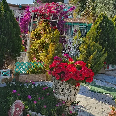 Holiday home Finca Amor Y Sueno Isa Rafal