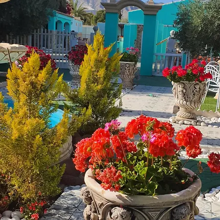 Finca Amor Y Sueno Isa Rafal