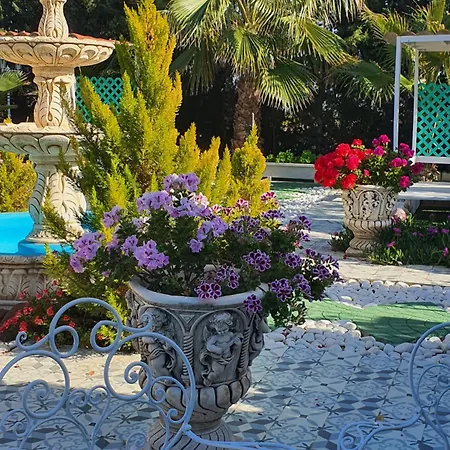 Finca Amor Y Sueno Isa