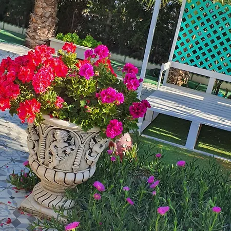Finca Amor Y Sueno Isa Holiday home