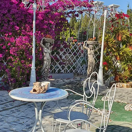 Finca Amor Y Sueno Isa Holiday home Rafal